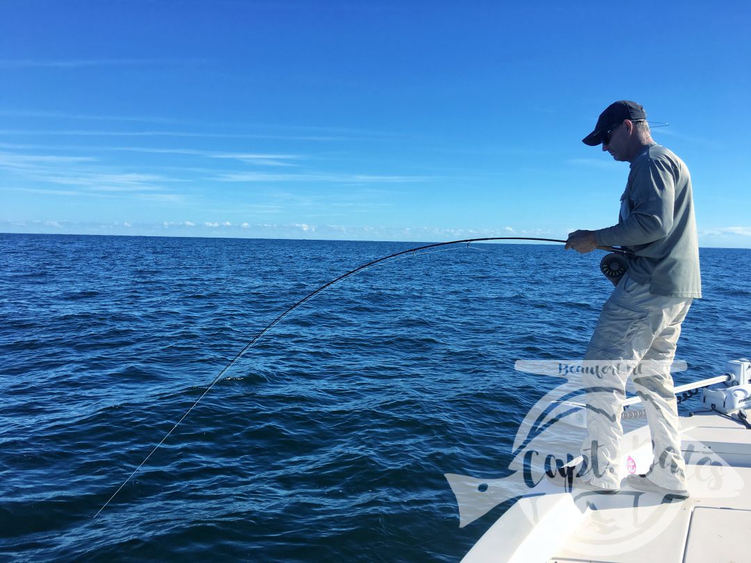 TFO Rod getting bent and bowed! False albacore at Cape Lookout North Carolina