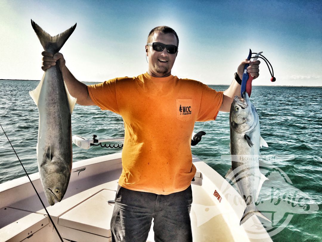 Zach double fisting topwater chopper bluefish!