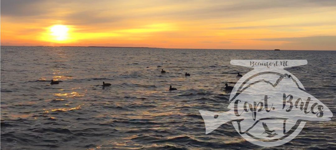 Open water sunrises, cool northerly winds, decoying sea ducks, and lots of laughs with friends, it’s almost crunch time!

I got two days left open in November, and just a few in December. Up to 8 person trips no problem! Layouts, open water blind, and scissor rig hunting.

Captainbates.com