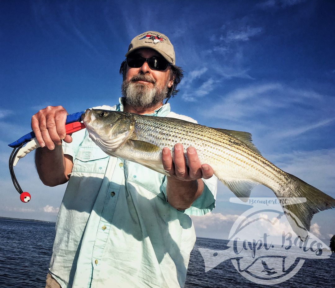 An early spring rock fishing jigs on ledges in New Bern North Carolina.