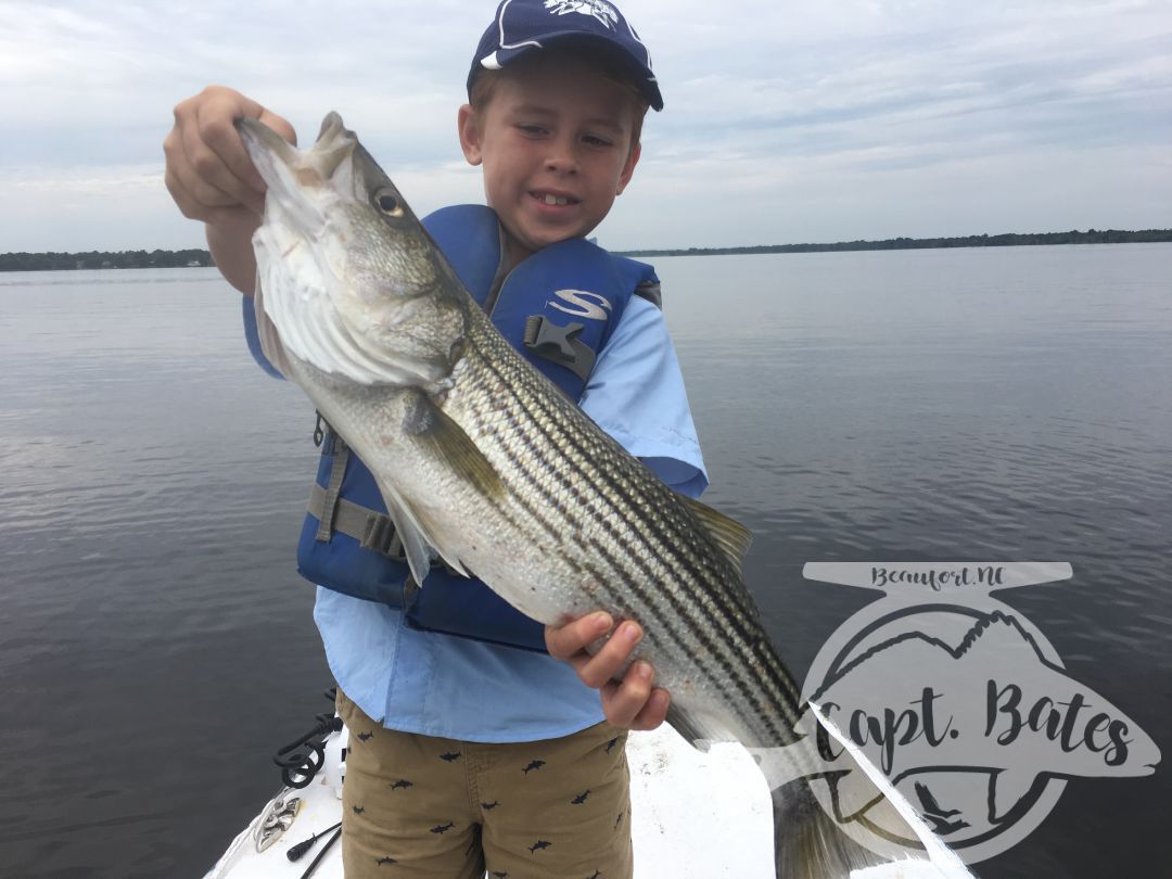 New Bern North Carolina topwater rockfishing at its finest!