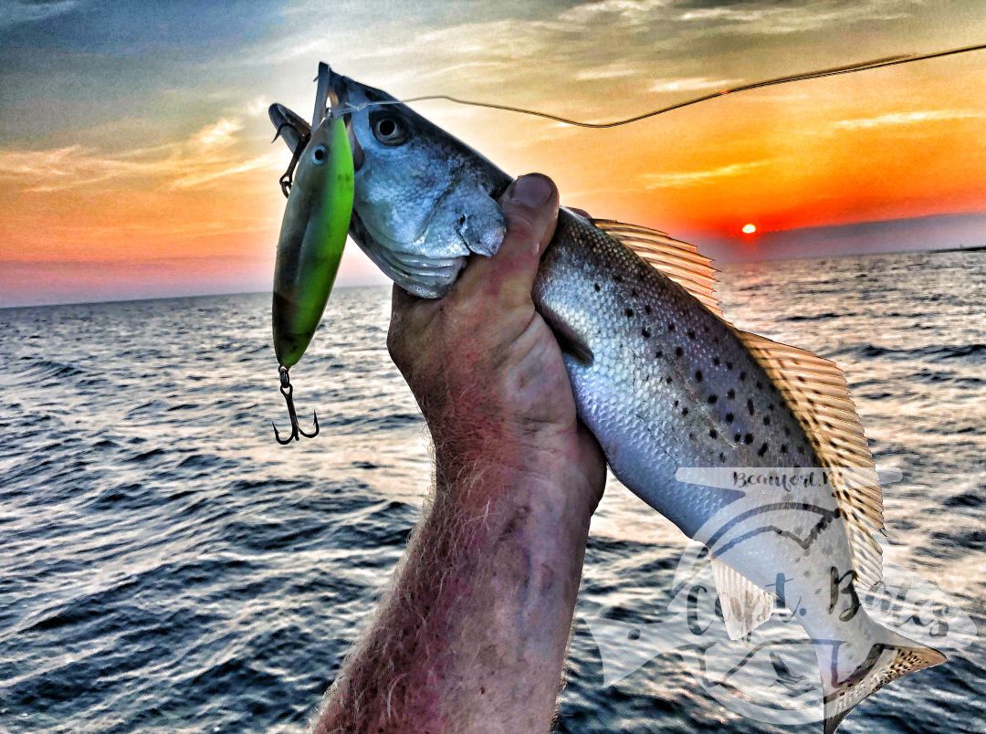 Early bird gets the...Topwater water trout! with one of the best sunrises you'll ever see! Sleep in on vacation and miss this??