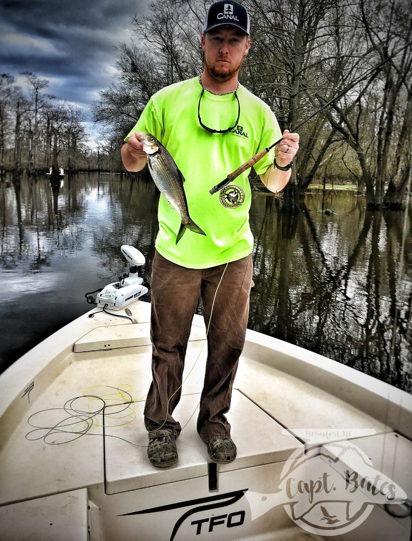 Brandon with his first ever fish on the fly, hickory shad can make for huge number days and their acrobatics will have everyone laughing