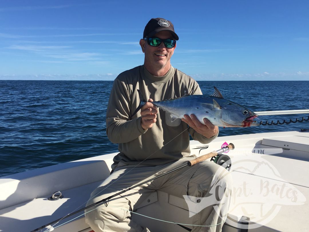 Cape Lookout NC false albacore