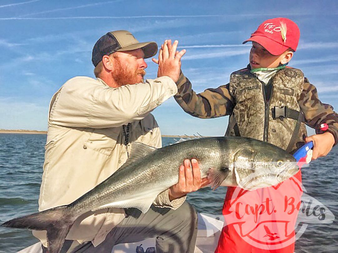 Big ole Hatteras bluefish on topwater!