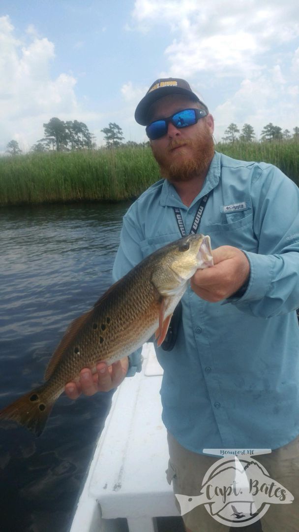 Pretty neuse river red