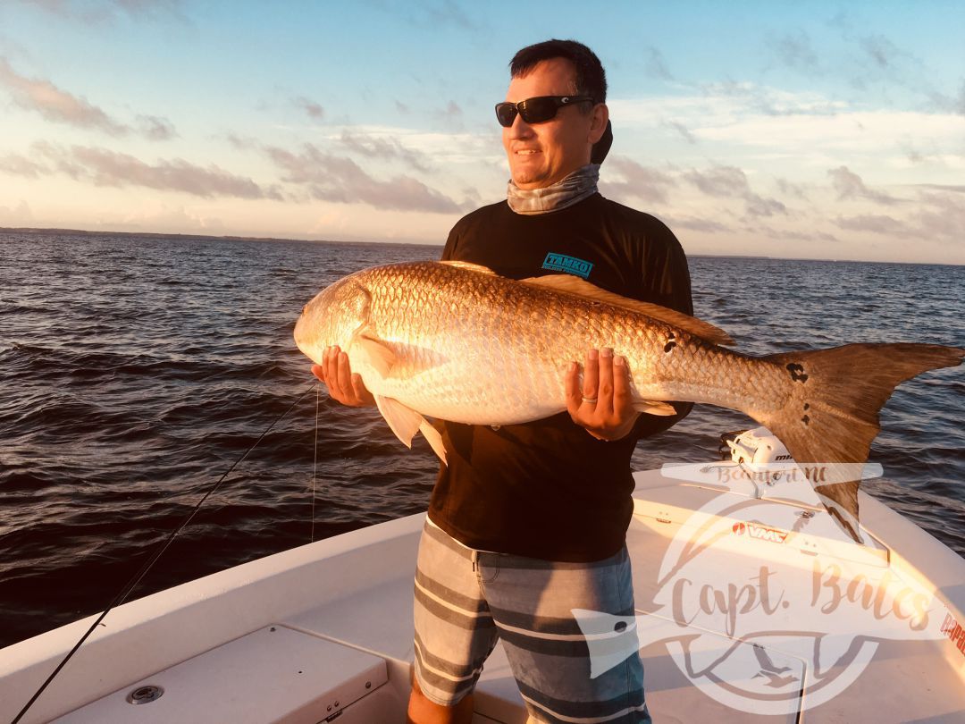 Beautiful evening citation trophy red drum as the sun sets in the background on the lower Neuse River.