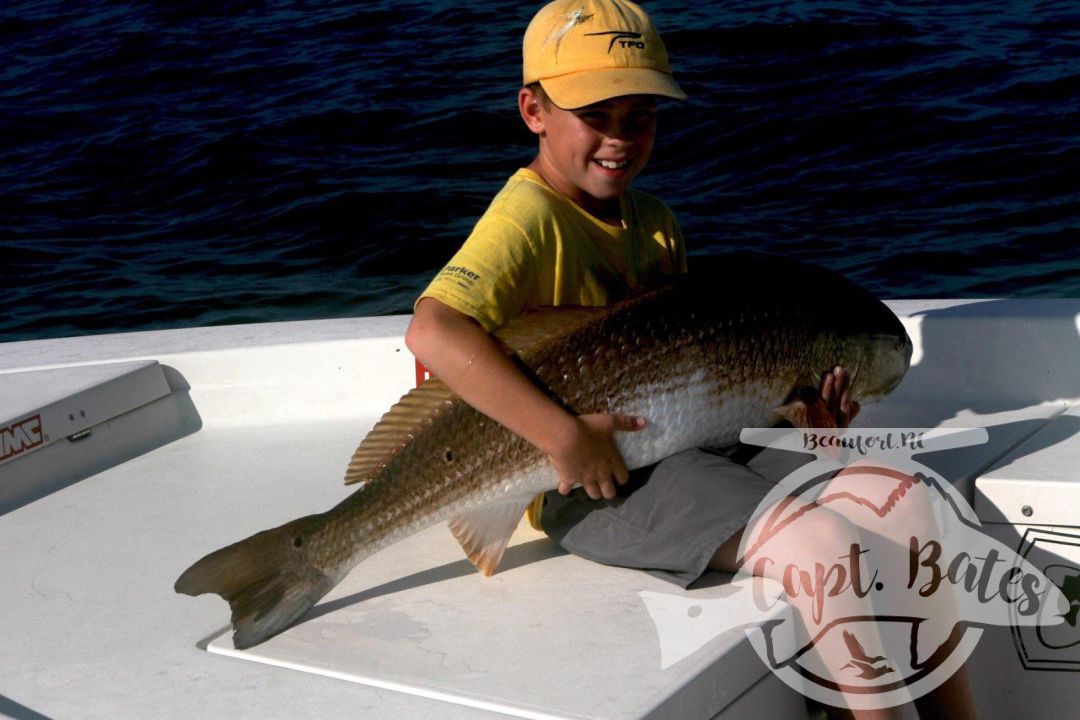 Buddy's first trophy adult red drum of the 2018 season, a 42" male is not a bad way to start the season for a 9 year old!