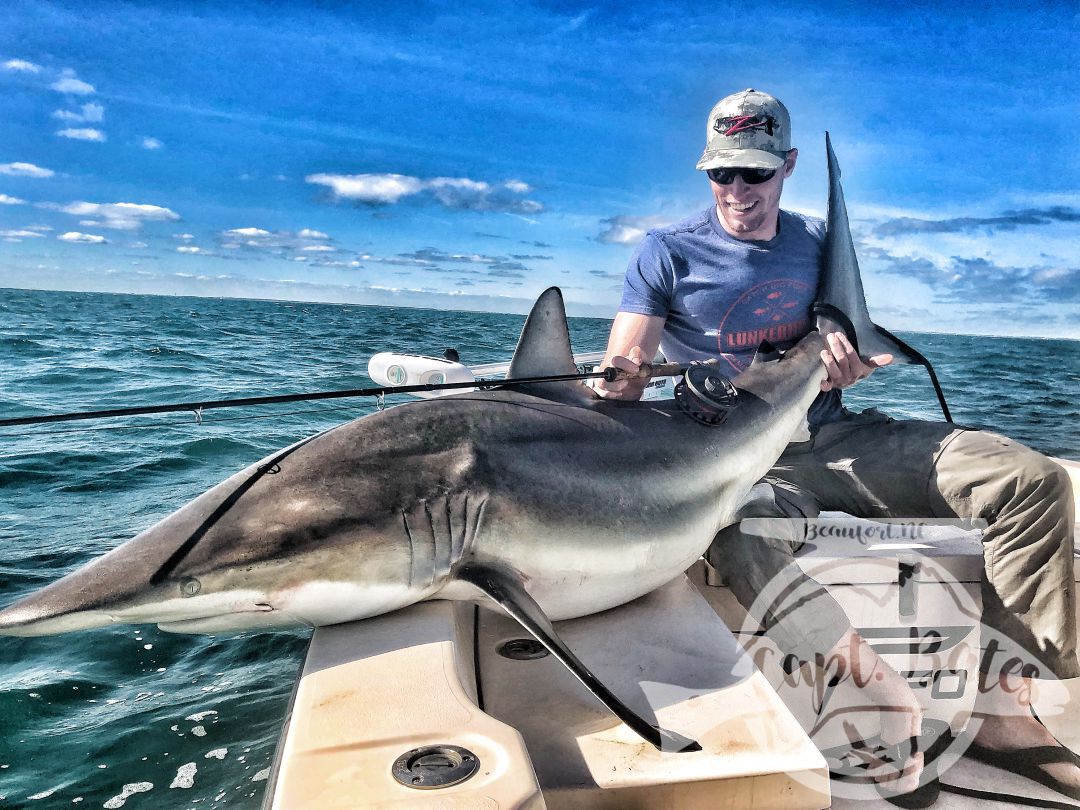 Owen sight casted to this huge 7’ spinner shark on a TFO 10wt!! 